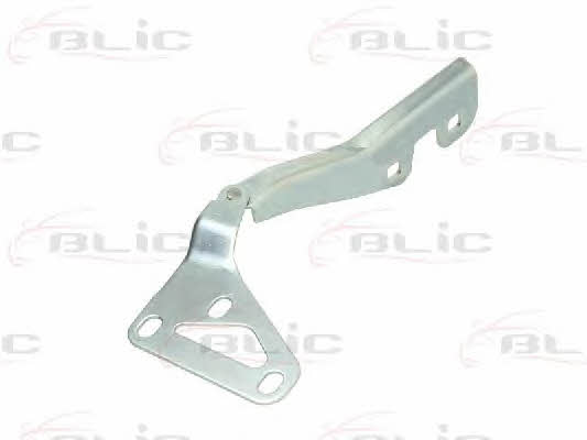 Hood hinge Blic 6802-00-5052451P
