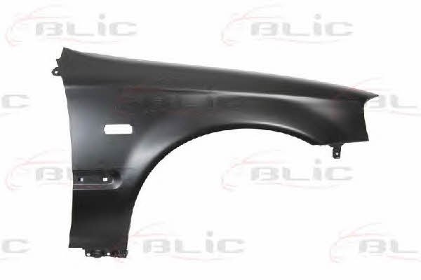 Front fender Honda: 6504042936314P Blic Front fender right