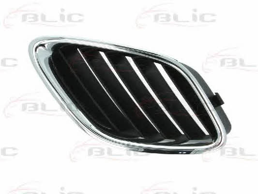 Grille radiator Blic 6502-07-6522993P