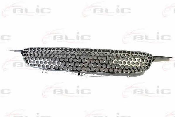 6502078114991P Blic Grille radiator
