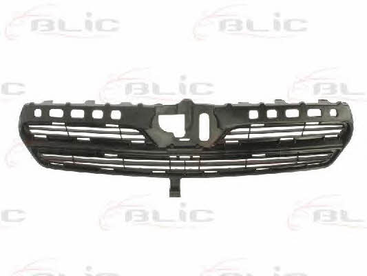 Grille radiator Blic 6502-07-8116994P
