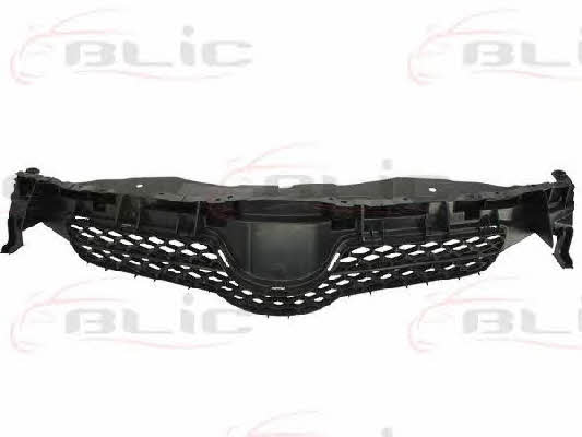 Grille radiator Blic 6502-07-8118990P