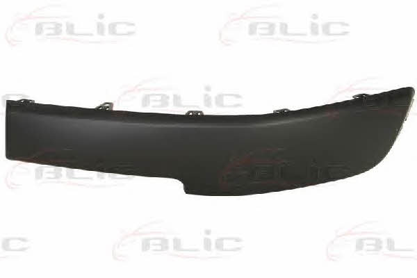 Trim bumper Blic 5507-00-6041921P
