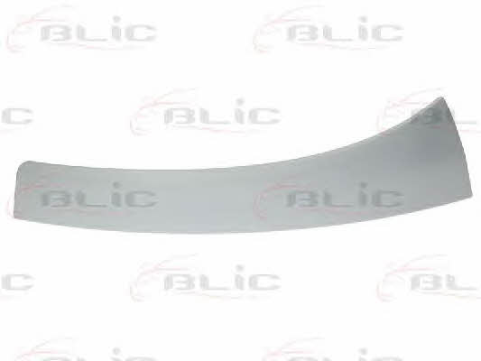 Headlight strip Blic 5510-00-2097913P