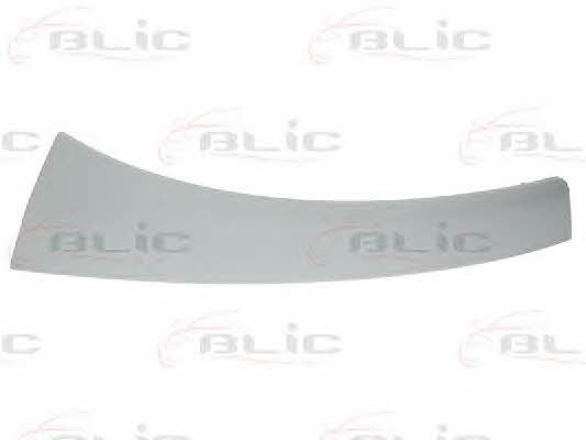 Headlight strip Blic 5510-00-2097914P
