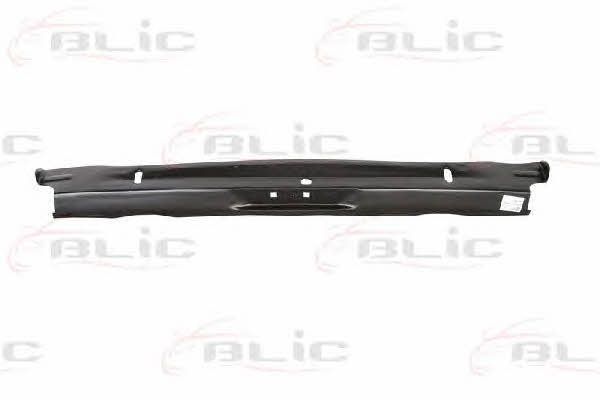 6503052515681P Blic Rear panel