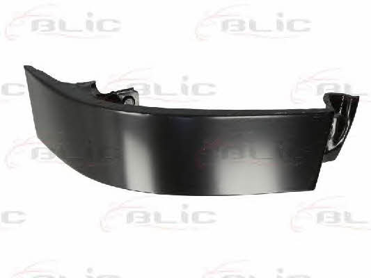 6503052936672P Blic Rear panel