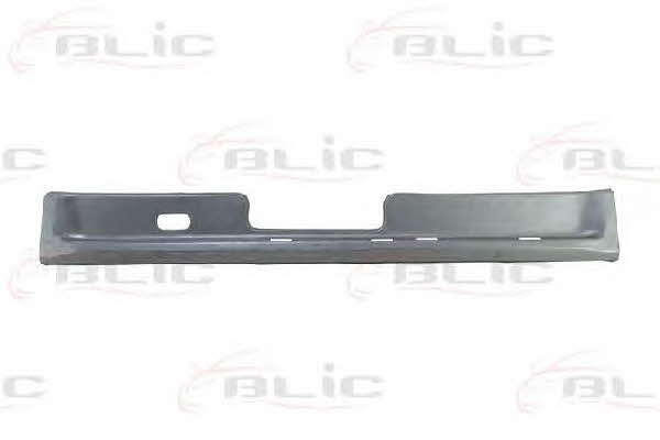 6503053545680P Blic Panel
