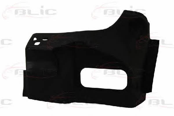 6504033548701P Blic Panel