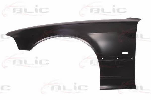 Front fender left Blic 6504-04-00603111P
