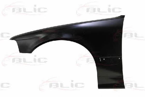6504040060311P Blic Front fender left