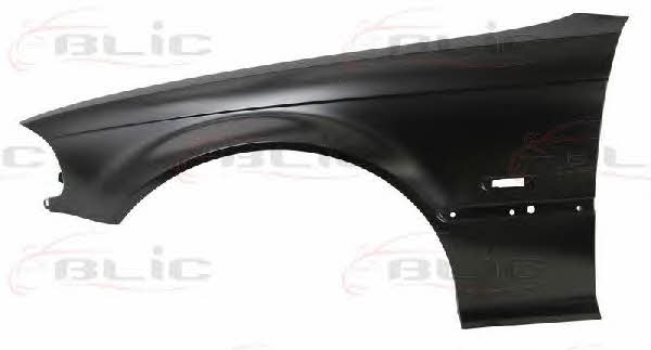 Front fender left Blic 6504-04-0061313P