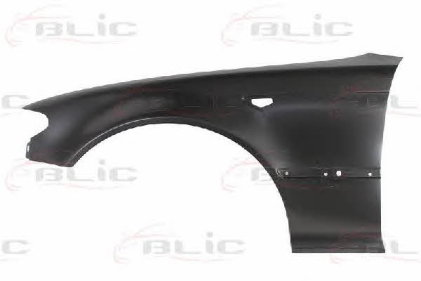 6504040061317P Blic Front fender left