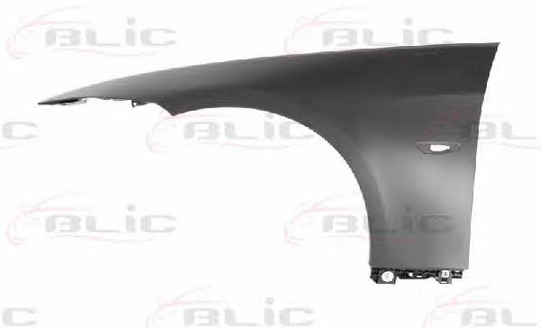 6504040062313P Blic Front fender left