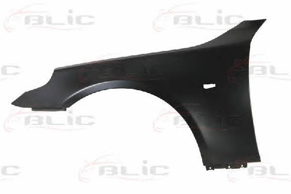 Front fender left Blic 6504-04-0066313P