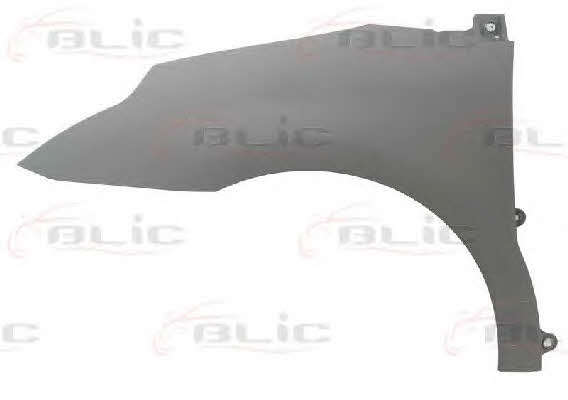 6504040537311P Blic Front fender left