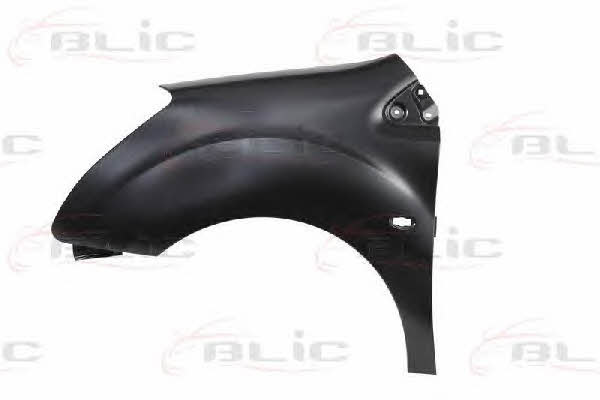 Front wing fender Citroen: 6504040552311P Blic Front fender left
