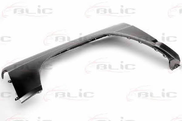 Front fender left Blic 6504-04-1646311P