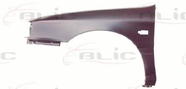 Blic 6504-04-1666311P Front fender left 6504041666311P