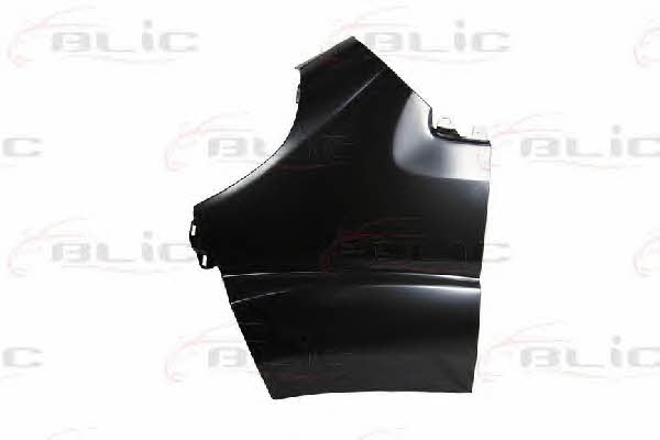 Front fender left Blic 6504-04-2097311P