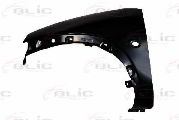 Front fender left Blic 6504-04-2505311P
