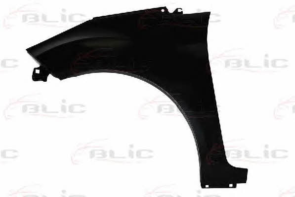 6504042565311P Blic Front fender left