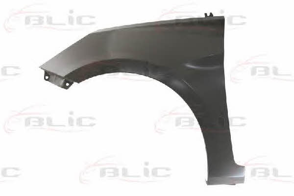 6504043150313P Blic Front fender left
