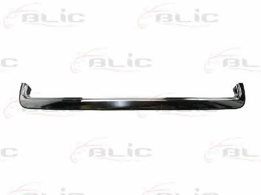 Hood molding Blic 5513-00-1135921P