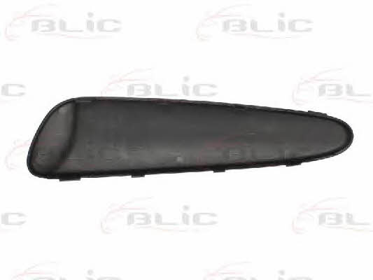 Bumper moulding Toyota: 5513008101922P Blic Trim bumper