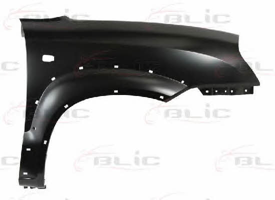 Front fender right Blic 6504-04-3175316P