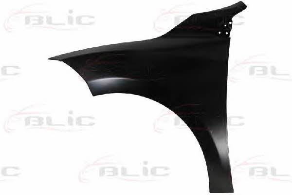 6504046043311P Blic Front fender left