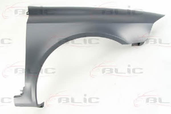 Front fender Renault: 6504046055314P Blic Front fender right