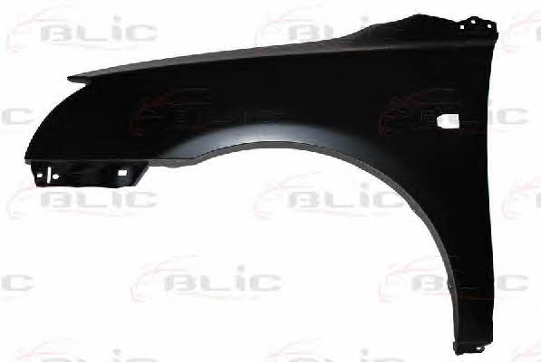 Front fender left Blic 6504-04-8161311P