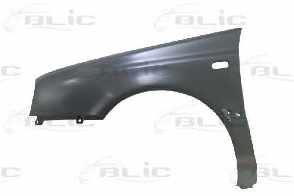 Front fender Blic 6504-04-9542313P