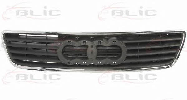 Blic 6502-07-0013991P Grille radiator 6502070013991P