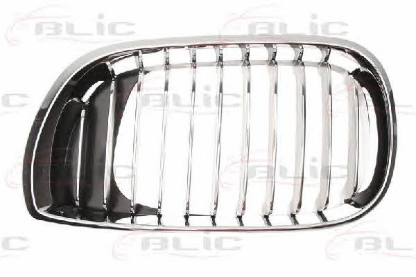 Grille radiator Blic 6502-07-0061991PP