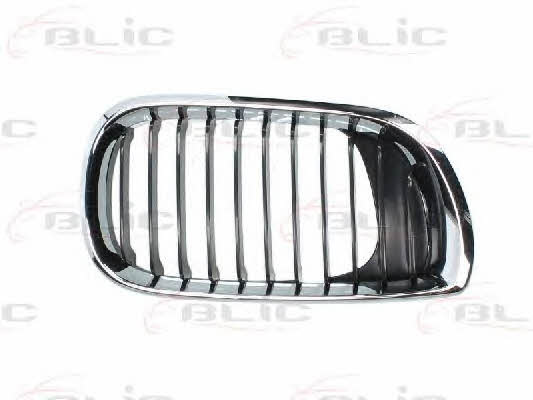 Grille radiator Blic 6502-07-0061992AP
