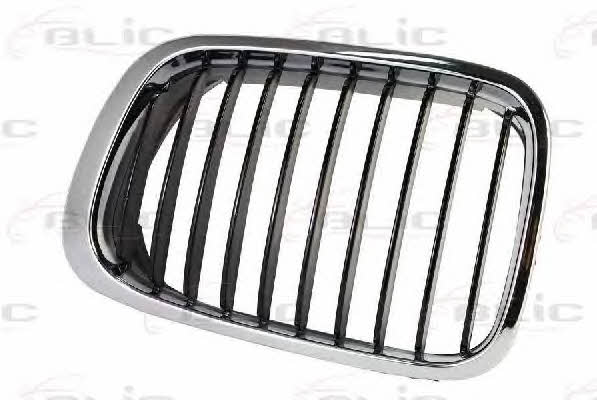 Grille radiator Blic 6502-07-0061993P