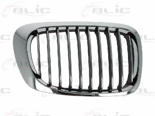 Grille radiator Blic 6502-07-0061993PP