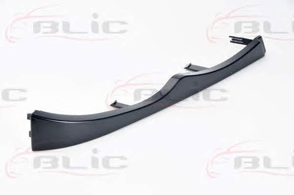 Headlight strip Blic 6502-07-0061996P