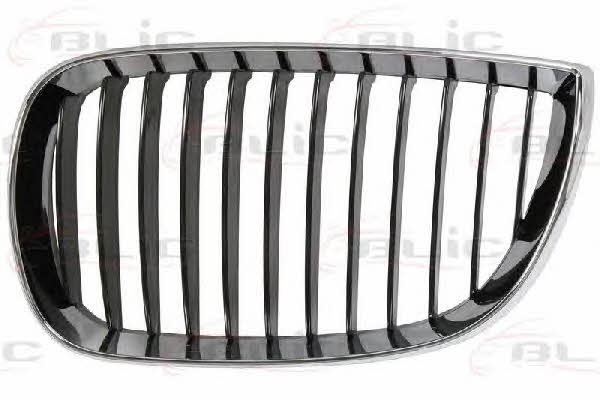 Grille radiator Blic 6502-07-0085991P