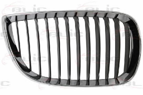 Grille radiator Blic 6502-07-0085992P
