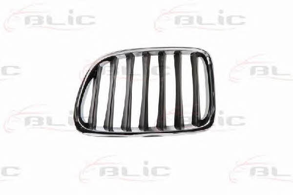 Grille radiator Blic 6502-07-0092991P