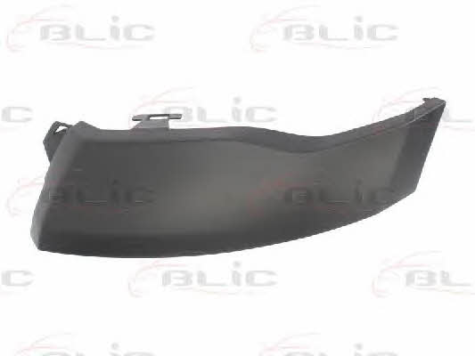 Headlight strip Blic 6502-07-0552211P