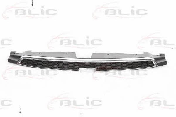 Grille radiator Blic 6502-07-1133990P