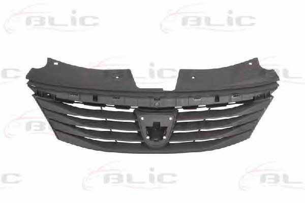 Grille radiator Blic 6502-07-1301990P