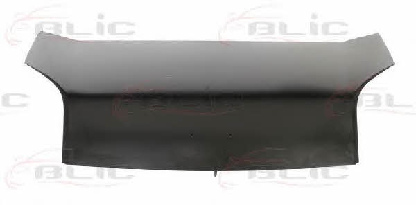 Hood Blic 6803-00-0553281P