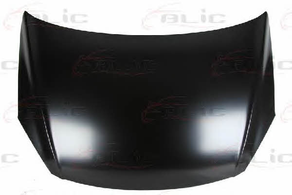Hood Blic 6803-00-3135280P