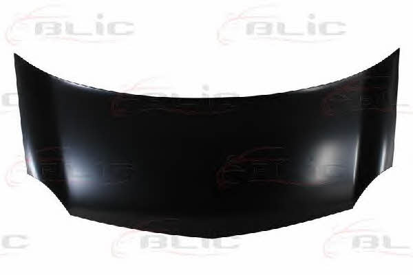 6803006011280P Blic Hood