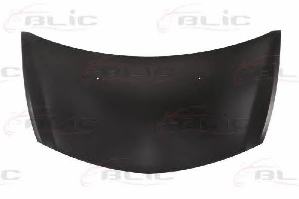 Hood Blic 6803-00-6033281P